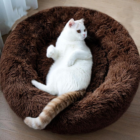 Comfy Cat Bed